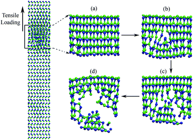 Fracture of 7NWs under tensile loading: (a) beginning, dark lines denote those facture bonds; (b) propagating; (c) and (d) rupture.