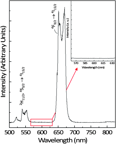 Upconversion emission spectrum of a 1 wt% colloidal dispersion of the NaYF4:Er3+, Yb3+ nanoparticles in water following excitation with 980 nm showing the green and red emissions. Inset: region showing the absence of emission in the upconversion spectrum of NaYF4:Er3+, Yb3+ nanoparticles between the 2H11/2, 4S3/2 (green) and 4F9/2 (red) emission where R-Phycoerythrin emission is observed.
