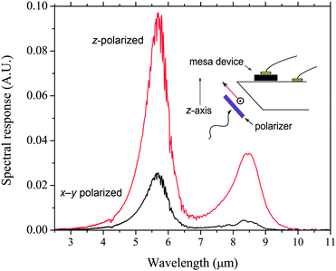 77 K polarized spectral response of device D. Light is passed through a polarizer and is incident upon the back of the wafer polished at an angle of 45°.