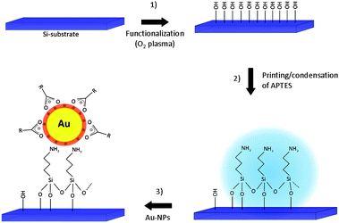 Schematic images showing the fabrication of the gold monolayer beginning from the silicon (001) substrate.