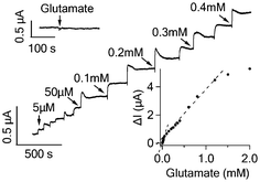 Current responses of GluD functionalized graphene FET to the addition of glutamate to various concentrations. The upper inset shows that GluD free graphene FET is not responsive to 1 mM glutamate. The lower inset shows the response curve of the graphene FET to glutamate with two fitting lines indicating the two linear response regions.