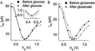 (A) Transfer curves before and after adding glucose (10 mM) to the GOD functionalized graphene FET. (B) Transfer curves before and after adding glutamate (1 mM) to the GluD functionalized graphene FET in the presence of 5 mM β-NAD.