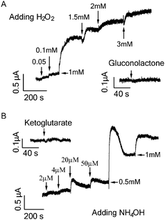 (A) Current responses of graphene FET to addition of products from glucose oxidation: H2O2 and d-glucono-1,5-lactone (1 mM). (B) Current responses of graphene FET to addition of products of glutamate oxidation: NH4OH and α-ketoglutarate (1 mM).
