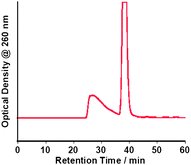 SEC chromatogram of a (dA)20/(dT)20-solubilized SWNT aqueous solution.