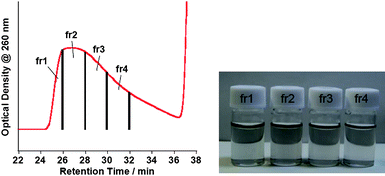 SEC chromatogram showing fractionation time for the (dA)20/(dT)20-solubilized SWNT solution (left) and photograph of the fractionated samples (fr1–fr4) (right).