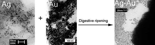 Synthesis of monodisperse Ag–Au alloy nanoparticles by digestive ripening of a mixture of polydisperse Ag and Au nanoparticles. (Modified with permission from ref. 129, 131 and 145. Copyright 2007 American Chemical Society.)