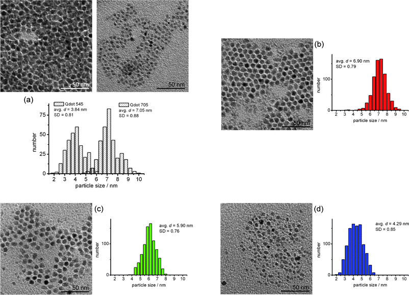 TEM images and size histogram of Qdot®s separated by the SEC, (a) before separation, (b) the 1st fraction (retention time: 208 s), (c) the 2nd fraction (retention time: 220 s) and (d) the 3rd fraction (retention time: 238 s). The average sizes and standard deviations of the Qdot®s were depicted in each histogram.