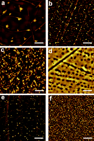 AFM images of 2 deposited by drop-casting on: (a) HOPG from a 0.1 mM dichloromethane solution; (b) HOPG from a 10−5 mM dichloromethane solution; (c) HOPG from a 0.1 mM octanol solution; (d) glass from a 0.1 mM acetonitrile solution. AFM images of 1 deposited by drop-casting on: (e) HOPG from a 0.1 mM ethanol solution; (f) glass from a 0.1 mM ethanol solution. Scale bars are 2 μm (a), 0.4 μm (b), 0.2 μm (c), 1.5 μm (d), 1 μm (e) and 10 μm (f).
