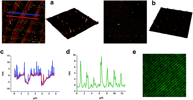 AFM and fluorescence images of 2 deposited by LCW: (a) 8 × 8 μm2 AFM image of 2 deposited on HOPG from an octanol solution (inset is a 3D image of a zoomed area) (b) 50 × 50 μm2 AFM image of 2 deposited on glass from an octanol solution (inset is a 3D image of a zoomed area); (c) height profile of the HOPG steps in an area patterned with compound 2 (blue line) and in an unpatterned area (red line); (d) height profile of the LCW patterned stripes of 2 in (b). (e) 31 × 31 μm2 confocal fluorescence image of compound 2 on glass.