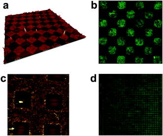(a) 50 × 50 μm2 3D-AFM image and (b) 35 × 35 μm2 fluorescence image of the same area of microstructures of compound 1 deposited on glass by μCP. (c) 80 × 80 μm2 AFM image of a negative replica of μCP-imprinted large squares and (d) 222 × 222 μm2 fluorescence image of a similar replica motive of 1 on glass.