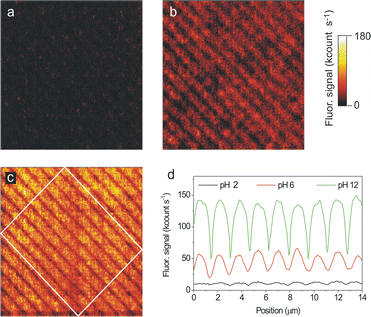 Consecutive fluorescence images of a 20 × 20 μm2 area of a sample prepared by LCW deposition of 1 on glass from an ethanol solution (a) after exposure to an acidic gas flow (HCl–N2), (b) after exposure to air and (c) after exposure to a basic gas flow (triethylamine–N2). All images were obtained with the same instrument settings (λexc = 532 nm, power density ∼0.25 kW cm−2, pixel rate = 1 kHz). (d) Mean intensity cross sections of the fluorescence images. The profiles plotted are obtained by averaging the signal within the region confined inside the white rectangle in image c).