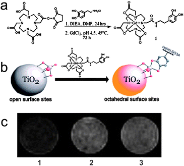 The scheme of (a) the synthetic route to a dopamine-modified MR contrast agent (DOPA-DO3A) and (b) functionalization of DNA-labeled TiO2 nanoparticles with DOPA-DO3A; (c) T1-weighted MR images of (1) control PC3M cells, (2) and (3) PC3M cells incubated with 0.001 mM DNA-DOPA-DO3A-modified TiO2 nanoconjugates with (2) 1.8% and (3) 4.4% 1:TiO2 active site coverage (from ref. 17).
