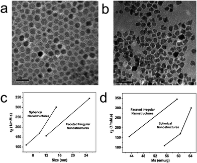 (a-b) TEM images of (a) 6 nm spherical and (b) 12 nm FI CoFe2O4 nanostructures; The scale bars in a and b are 20 nm and 50 nm, respectively; (c-d) Plot of relaxivities versus (c) size and (d) saturation magnetization of the CoFe2O4 nanostructures. (from ref. 49).