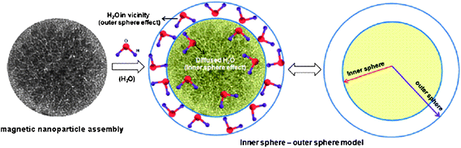 A schematic representation of outer sphere–inner sphere model of magnetic nanoparticle assembly (from ref. 56).