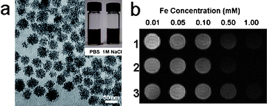 (a) TEM image of the 42 nm Fe3O4 nanoassemblies (scale bar = 50 nm); Inset are photographs of the Fe3O4 nanoassemblies suspended in PBS and 1 M NaCl.; (b) T2-weighted MR images of aqueous solutions of (1) 42 nm, (2) 30 nm and (3) 19 nm Fe3O4 nanoassemblies at various Fe concentrations (from ref. 52).