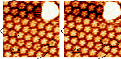 Two consecutive STM images with a 1 min delay showing the mobility of the bright spots in the middle of pentamers (highlighted by ellipses). Ew = 350 mV vs. SCE; It = 1 nA; Ubias = −300 mV. See also video S2 in ESI.