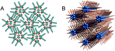 Proposed 2D assembly of ISA-D7 at the Au(111)–water interface based on the STM data (A) and its comparison with a well-established 3D model of the inverted hexagonal phase, observed for some lipids in aqueous solutions (B).24–27