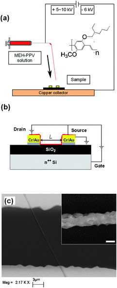 (a) Schematics of ES process to fabricate single nanofiber-based FETs. The arrow schematises the elongational direction of fiber extrusion, corresponding to the stretching direction during the deposition process. Inset: MEH-PPV molecular structure. (b) Schematics drawing of a single nanofiber FET in bottom-contact and back-gate configuration. L: inter-electrodes fiber length. (c) SEM micrograph of a typical device. Inset: Single nanofiber surface at high magnification. Marker = 200 nm.