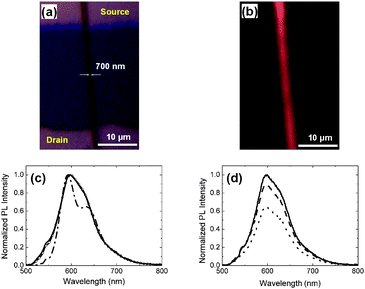 Bright field (a) and fluorescence (b) micrographs of a single light-emitting fiber FET (L = 30 μm, W = 700 nm) with VDS = VGS = 0 V. (c) Normalised PL spectra of thin film (dash–dotted line, peak wavelength, λmax = 592 nm, linewidth = 80 nm) and nanofiber embedded in a FET device with VDS = 0 V, and with VGS = 0 V (continuous line, λmax = 597 nm, linewidth = 81 nm) or −40 V (circles, λmax = 598 nm, linewidth = 81 nm). (d) Nanofiber PL spectra for VGS = 0 V (continuous line), −20 V (dashed line), and −40 V (dotted line).