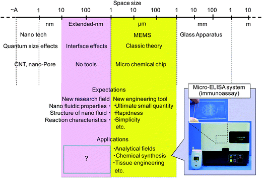 Size hierarchy and extended-nano space.