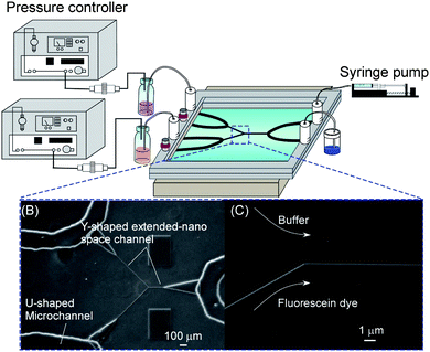 Pressure-driven nanofluidic control system.