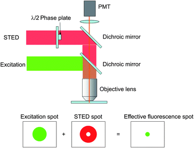 Principles of STED for high resolution imating.