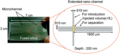 Illustration of extended-nano chromatography system. Adapted from ref. 41.