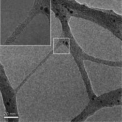 TEM image of polystyrene-functionalized SWNTs (from ref. 23).