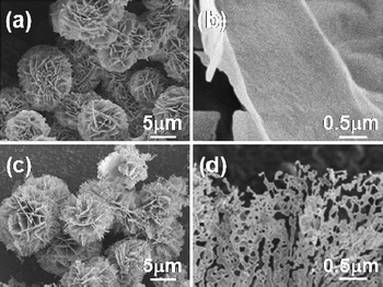 Scanning electron microscopy (SEM) images of Co3O4 powders at different magnifications. (a) and (b) As-synthesized products. (c) and (d) After annealing at 500 °C for 2 h.