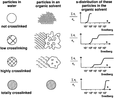 Sedimentation coefficient distributions for latexes with different degrees of cross linking. Reproduced from ref. 138 with kind permission of Springer Verlag.