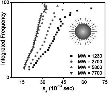 Sedimentation of polystyrene-coated gold nanocrystals in toluene. The longer the polymer chain, the smaller the density of the particles and the smaller the sedimentation coefficient. Average sedimentation coefficients, from left to right, are 23.0, 23.8, 29.2, and 36.6 S, respectively, for polymers of decreasing molecular weight. A schematic representation of a hypothetical gold particle stabilized with a polymer is shown in the graph. Figure reproduced from ref. 124 with permission of the American Chemical Society.