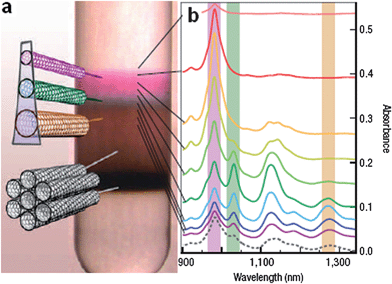 Sorting SWCNTs by diameter. (a) SC encapsulated CoMoCAT-grown SWCNTs after centrifugating. Colored bands indicate the isolated SWCNTs sorted by diameter and bandgap. Bundles, aggregates and insoluble materials deposit at lower part of centrifuge tube. (b) Adsorption spectra indicate that SWCNTs of increasing diameter are more concentrated at larger densities. (Adapted with permission from ref. 20, © Nature.)