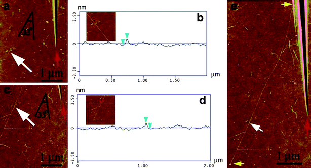 AFM images of a seed SWCNT and its amplified SWCNT. (a) The starting 200 nm SWCNT indicated by the white arrow (the red arrow is the locator inscription). (b) A height profile of the seed-SWCNT showing a diameter of 0.73 nm. (c) Amplified SWCNT after regrowth. (d) Height profile of regrown SWCNT showing a nearly identical height of 0.72 nm over several points measured along its entire length. (e) The entire length of the amplified nanotube is 6.7 μm (between the yellow arrows). (Adapted with permission from ref. 87, © American Chemical Society.)