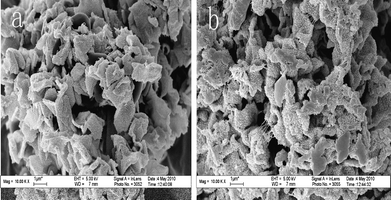 FE-SEM images of prepared electrode (a) before charge-discharge test and (b) after 1000 cycles.