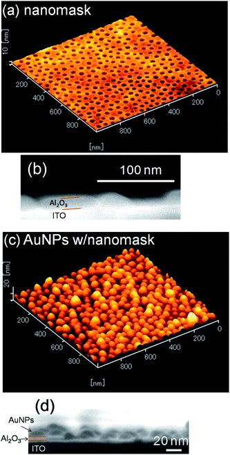 (a) AFM surface image and (b) SEM cross-sectional image of the Al2O3 nanomask on a smooth ITO electrode and (c) AFM and (d) SEM images of AuNPs electrodeposited at −2.0 V vs. Ag|AgCl for 10 s through the nanomask.