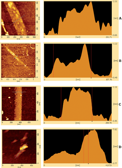 AFM of monolayer graphene flakes (A–C) and of a FLG flake (D).
