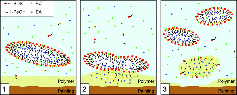 Schematic representation of the mechanism of interaction between the micelles of the EAPC system and the polymer coating. (1) The micelle acts as solvent carrier and drives the interaction with the polymer. (2) The polymer absorbs the solvent mixture with the optimal properties (i.e. polarity and dispersion forces) to initiate a swelling process. (3) Due to the depletion in the organic phase, the micelles re-organize their structure and get smaller.