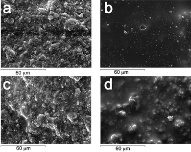 SEM micrographs of the sample reproducing a wall painted with the fresco technique.