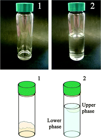 Visual appearance of the result of tests performed in glass tubes. The schematic cartoon helps in understanding the pictures. Two liquid phases resulting from the interaction process between the micellar system and the polymer are clearly observable. (1) Vial with polymer only, before the interaction with the EAPC system. (2) Vial at the equilibrium after the interaction between the polymer coating and the EAPC micelles.