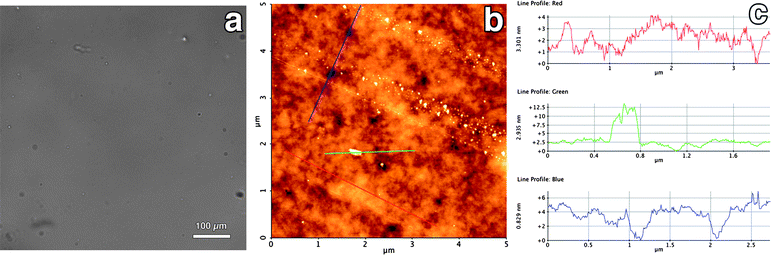 Optical (a) and AFM (b) micrograph (height range: 13 nm) of the Paraloid film as obtained by drop casting on a mica slide. The height profile along three lines is also reported (c).