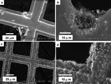 SEM images of (a) and (c) are representative micrographs of as-grown CNTs on TEM Au grid before and after treatment of aqua regia for 60 s. Images of (b) and (d) represent an enlarged area of (a) and (c), respectively.