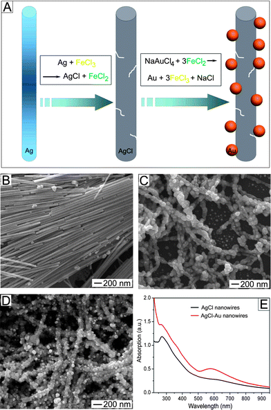 Synthesis and characterization of uniform AgCl nanowires and core/shell nanowires made of AgCl cores decorated with Au nanoparticles. (A) Schematic illustration of chemical conversion of Ag nanowires into AgCl ones and AgCl/Au core/shell ones. The white curves represent grain boundaries, highlighting the polycrystallinity of AgCl nanowires. (B–D) SEM images of (B) Ag nanowires, (C) AgCl nanowires, and (D) core/shell nanowires made of AgCl nanowires coated with Au nanoparticles. (E) Comparison of absorption spectra of the AgCl nanowires with (red curve) and without (black curve) Au nanoparticles. [Adapted with permission from ref. 157, Copyright 2010 American Chemical Society].