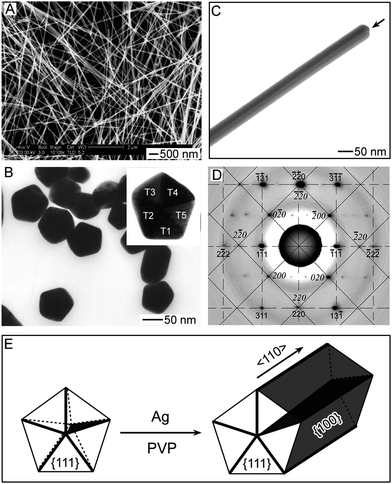 Characterization of Ag nanowires synthesized through a polyol process, in which AgNO3 was reduced with ethylene glycol with assistance of PVP. (A) SEM image of a random assembly of Ag nanowires purified via centrifuge. (B) TEM image of cross section of the Ag nanowires. The sample was prepared by dispersing and embedding the Ag nanowires in a cured epoxy matrix followed by slicing with microtome. (C) TEM image of an individual Ag nanowire, clearly showing the straightness of the twin plane (indicated by the arrow). (D) SAED pattern taken from the nanowire in (C) by aligning the electron beam perpendicular to one of the five side surfaces, clearly showing a superposition of patterns along [001] (square pattern labeled with solid lines) and [11̄2̄] (rectangular pattern labeled with dashed lines) zone axes for fcc Ag. The (220) and [2̄2̄0] reflections resulted in the same diffraction spots in the pattern. The pattern was reoriented for visional clarity. (E) Schematic illustration of growth mechanism of Ag nanowires with pentagonal cross sections from decahedrons. The surfactant molecules, PVP, selectively adsorb on the side {100} surfaces during the elongation of the decahedrons into nanorods and nanowires along the <110> crystalline direction.[Adapted with permission from ref. 80, Copyright 2003 American Chemical Society].