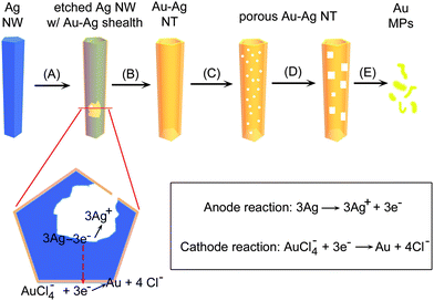 Schematic illustration highlighting the morphological evolution of a Ag nanowire involved in the galvanic displacement reaction between the Ag nanowire and an aqueous solution of HAuCl4 at 100 °C. The major steps include: (A) initiation of displacement reaction at a specific site with relatively high surface energy, or several sites for long wires; (B) continuation of the reaction and formation of a nanotube with smooth and uniform wall composed of Au-Ag alloy; (C) initiation of dealloying process and the formation of small pinholes in the nanotube wall; (D) continuation of dealloying with the formation of square (or rectangular) holes in the wall; (E) fragmentation of the porous nanotube into Au nanoparticles with irregular shapes triggered by complete (or deep) dealloying. The cross section highlights the microscopic view of galvanic displacement reaction that includes i) oxidation and dissolution of Ag; ii) diffusion of Ag+ ions out of the cavity; iii) diffusion of AuCl4− ions to the outer surface of the nanowire; and iv) reduction of AuCl4− ions and deposition of Au on the nanowire. NW, NT, and NPs represent nanowire, nanotube, and nanoparticles, respectively.