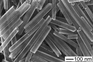 SEM image of broken Au-Ag alloy nanotubes prepared through ultrasonication of nanotubes as shown in Fig. 6C.