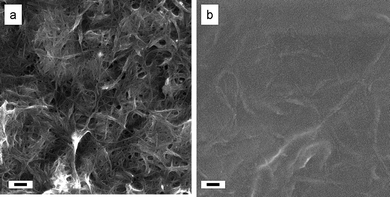 Scanning electron microscopy images of carbon nanotube networks B1 (a) and E5 (b) prepared by vacuum filtration and evaporative casting of XG-HiPco SWNT dispersions, respectively. Scale bars indicate 100 nm.