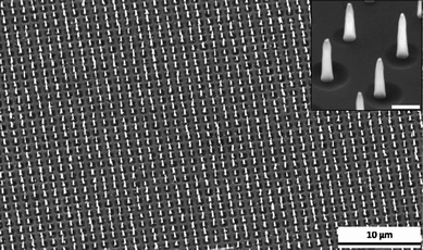 A large-area ordered array of carbon nanoneedles. The diameter of each CNN at the base was ∼200 nm, the length was ∼1 µm (45° tilt). The inset is a magnified view of a portion of the CNF array, with a scale bar of 500 nm.