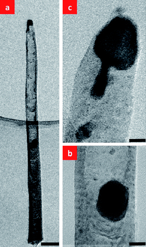 (a) HRTEM image of a CNF that was subjected to a plasma treatment (plasma current fixed at 75 mA) in NH3 for 3 min after the C2H2 was turned off, showing that the top Ni catalyst splits into two parts, with one remaining at the tip of the CNF and the other travelling down into the CNF. Note the hollow interior of the upper part of the CNF through which the bottom catalyst has passed, (b) magnified image of the body catalyst, and (c) magnified image of the top catalyst. The scale bars are (a) 100 nm, (b) 25 nm, and (c) 25 nm, respectively.
