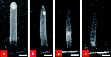 SEM images of: (a) an as-grown round-topped tubular CNF that has been annealed at 700 °C in ambient NH3 without plasma treatment. CNFs annealed under the same conditions but with (b) the plasma power set at half the normal power (plasma current fixed at 37.5 mA) for 3 min, (c) full plasma power (plasma current fixed at 75 mA) for 3 min and (d) full plasma power for 5 min. The scale bars are 100 nm for all images.