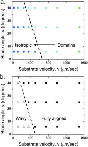 Effect of blade angle on the structure of the film deposited using a suspension with (a) volume fraction ϕ = 0.10, below the I–N transition and (b) volume fraction ϕ = 0.52, above the I–N transition. The filled squares indicate fully aligned particles (F), open triangles indicate a wavy structure (W) and filled colored circles indicate domains (D). The dotted lines are guides to the eye that show the general trend for the effect of increasing blade angle. The films were deposited at a gap d = 100 μm.